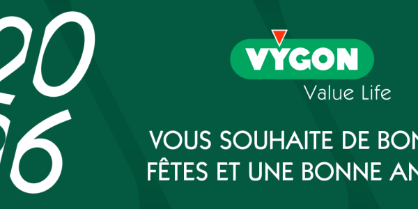 bandeau fêtes de fin d'année