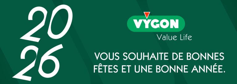 bandeau fêtes de fin d'année